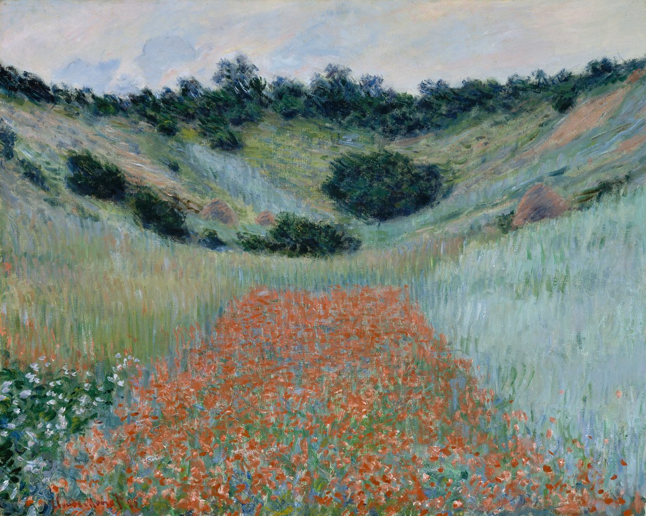 Pole Maków w Kotlinie w pobliżu Giverny autorstwa Claude Monet
