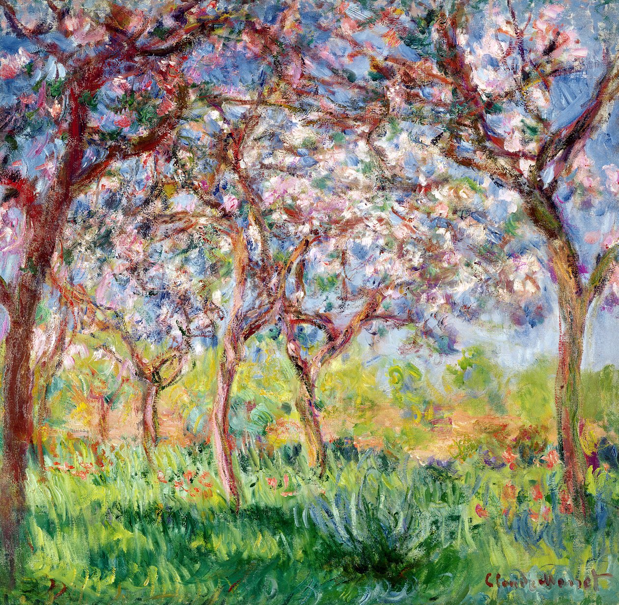 Wiosna w Giverny, 1903 autorstwa Claude Monet