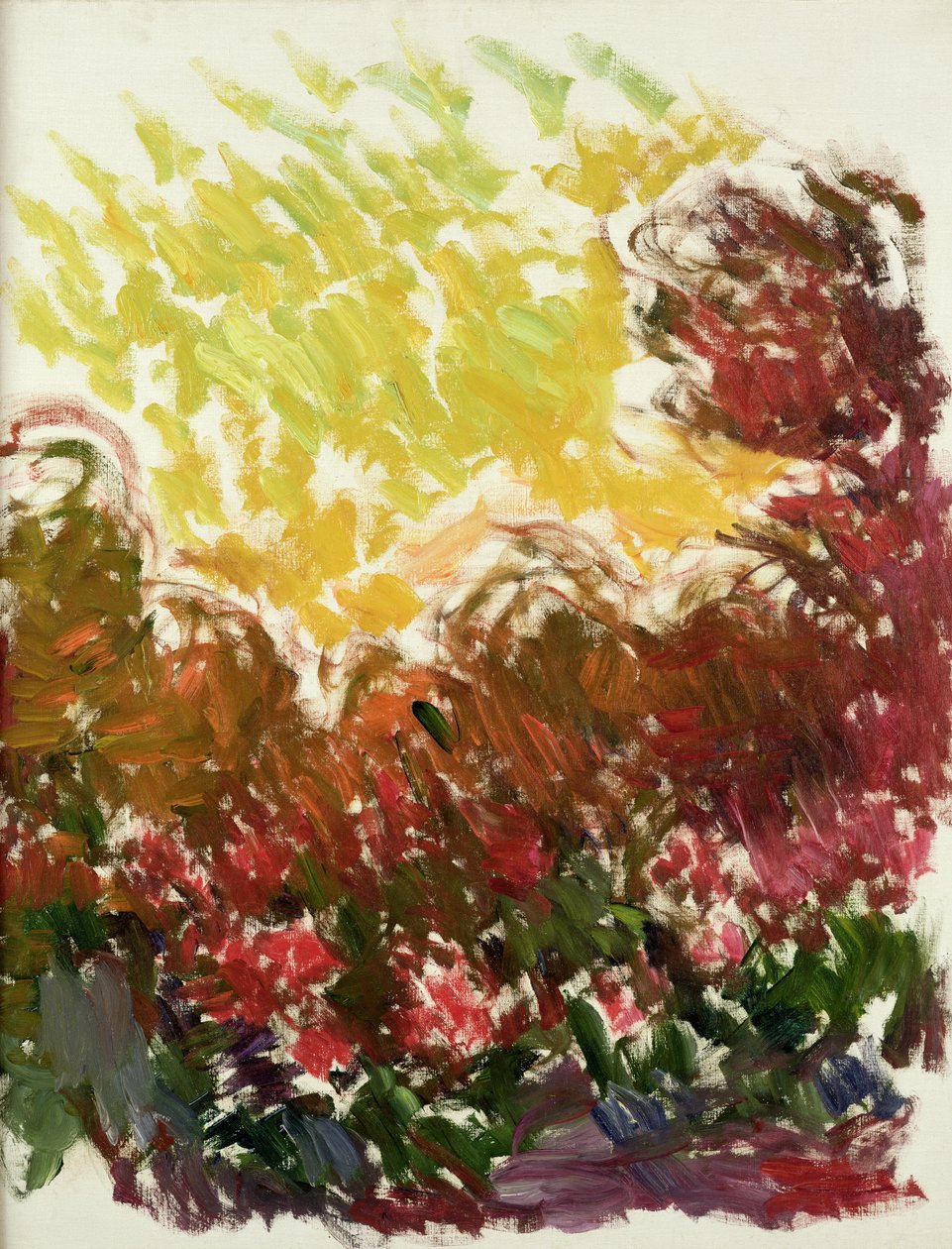 Ogród w Giverny, 1922-26 autorstwa Claude Monet