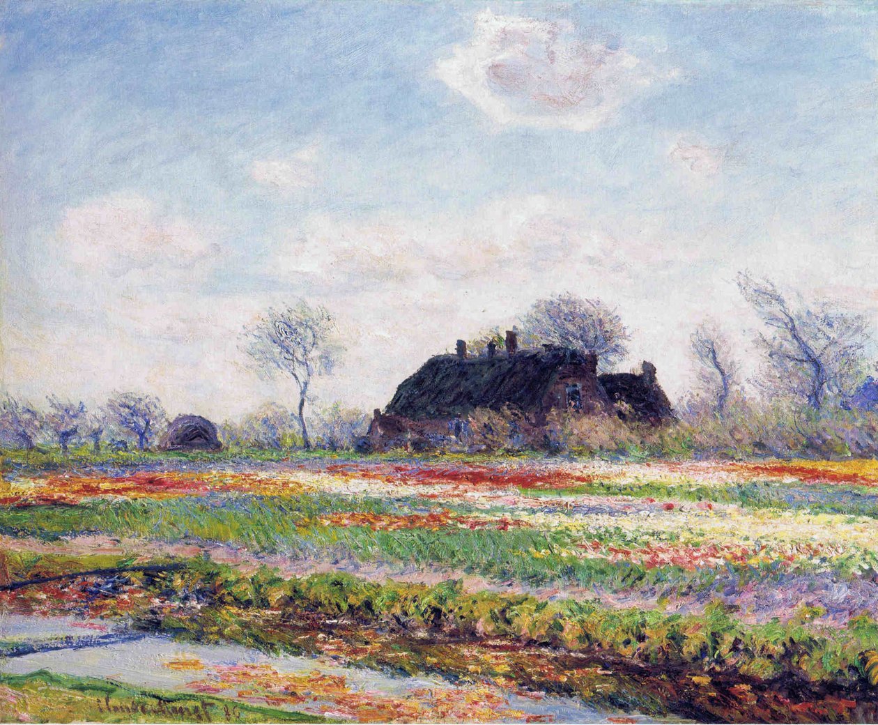 Pola tulipanów w Sassenheim autorstwa Claude Monet