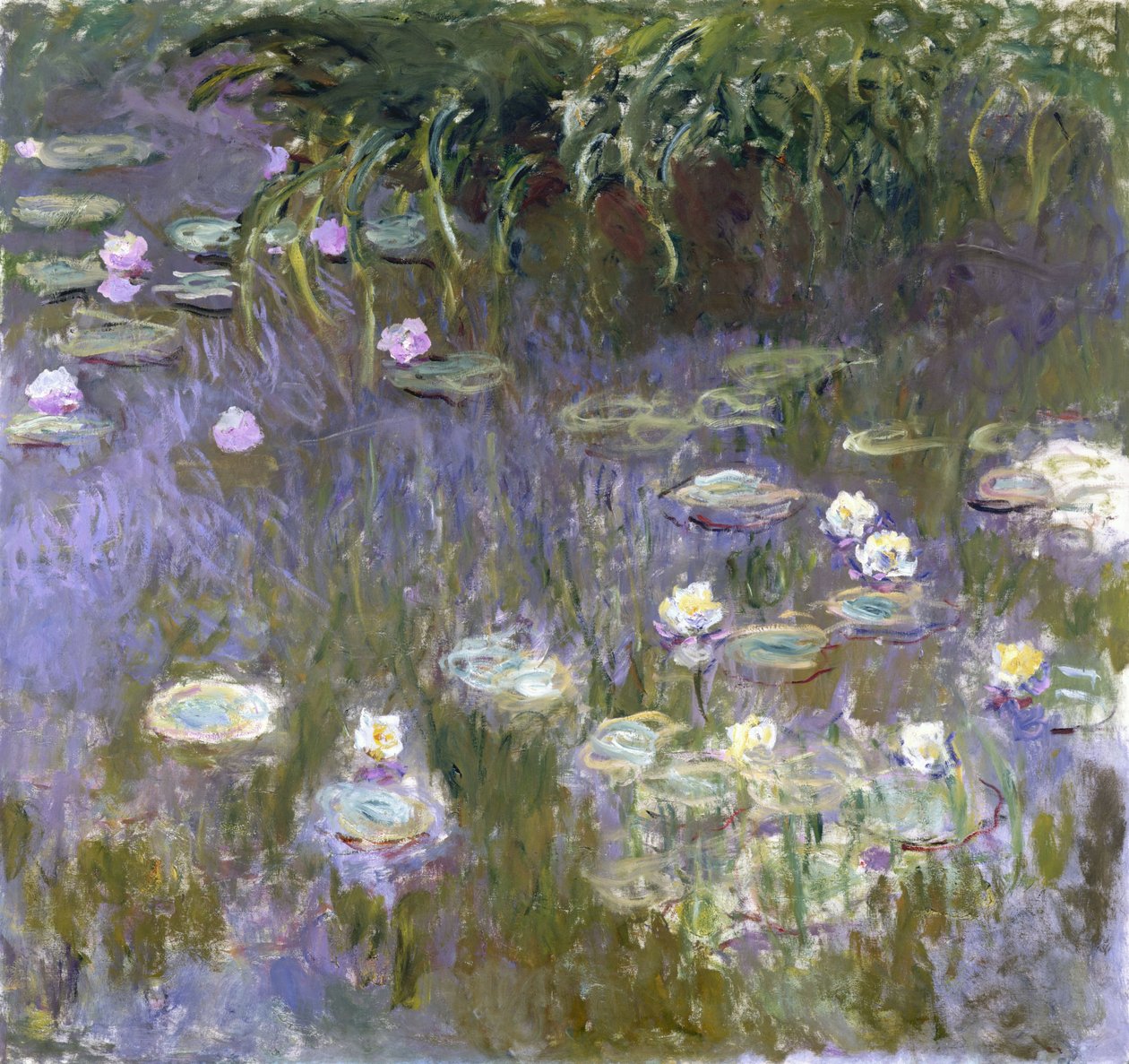 Lilie wodne autorstwa Claude Monet