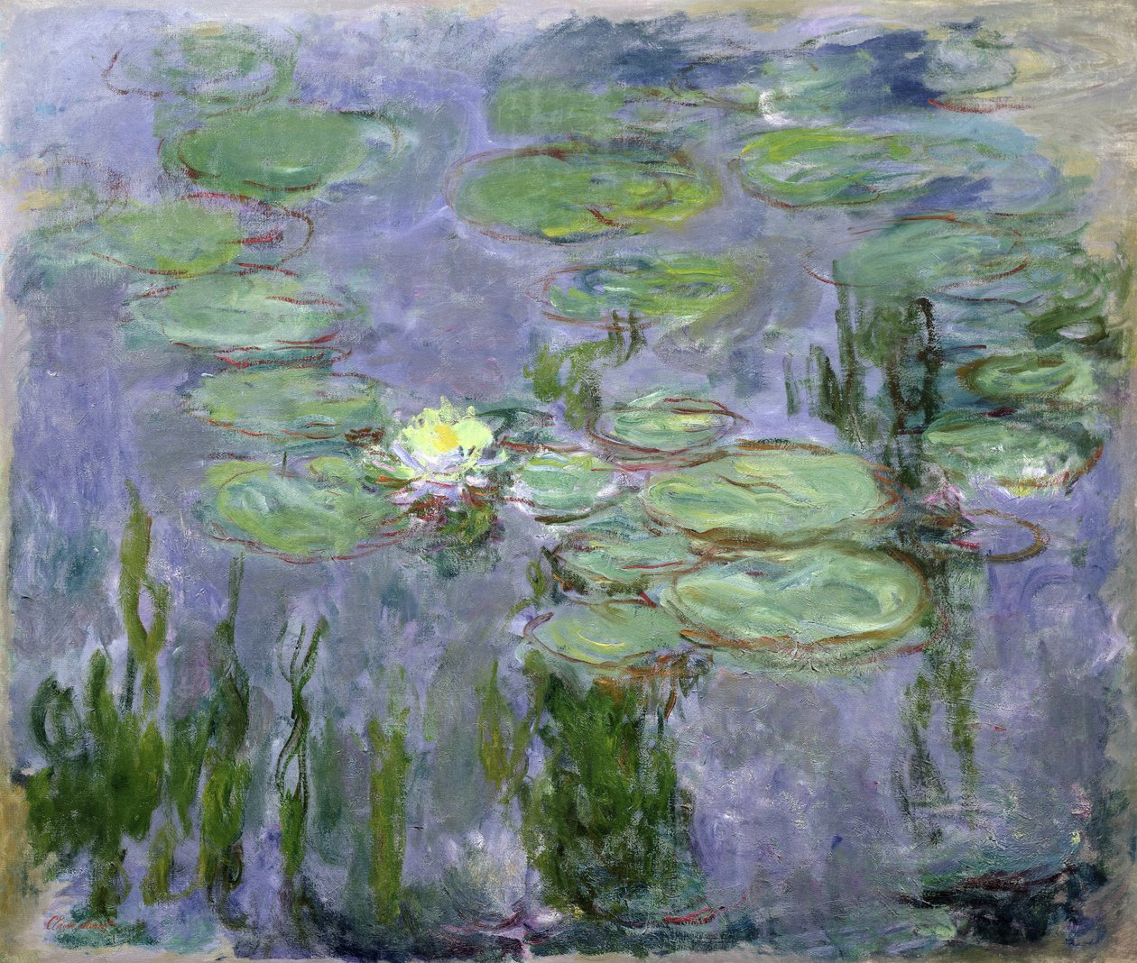 Lilie wodne, 1915 autorstwa Claude Monet