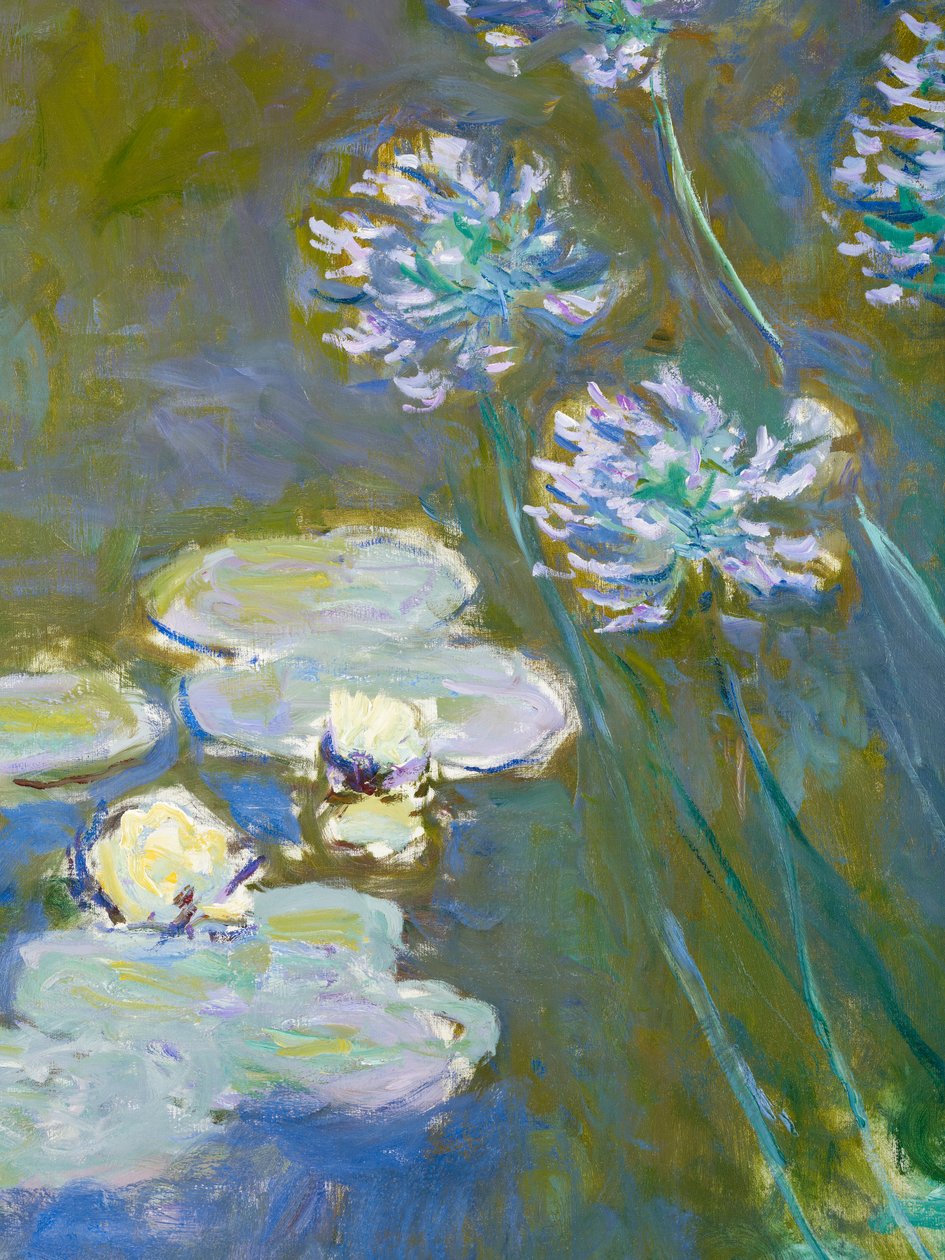 Lilie wodne i agapanty, 1914-17 fragment 82323 olej na płótnie autorstwa Claude Monet