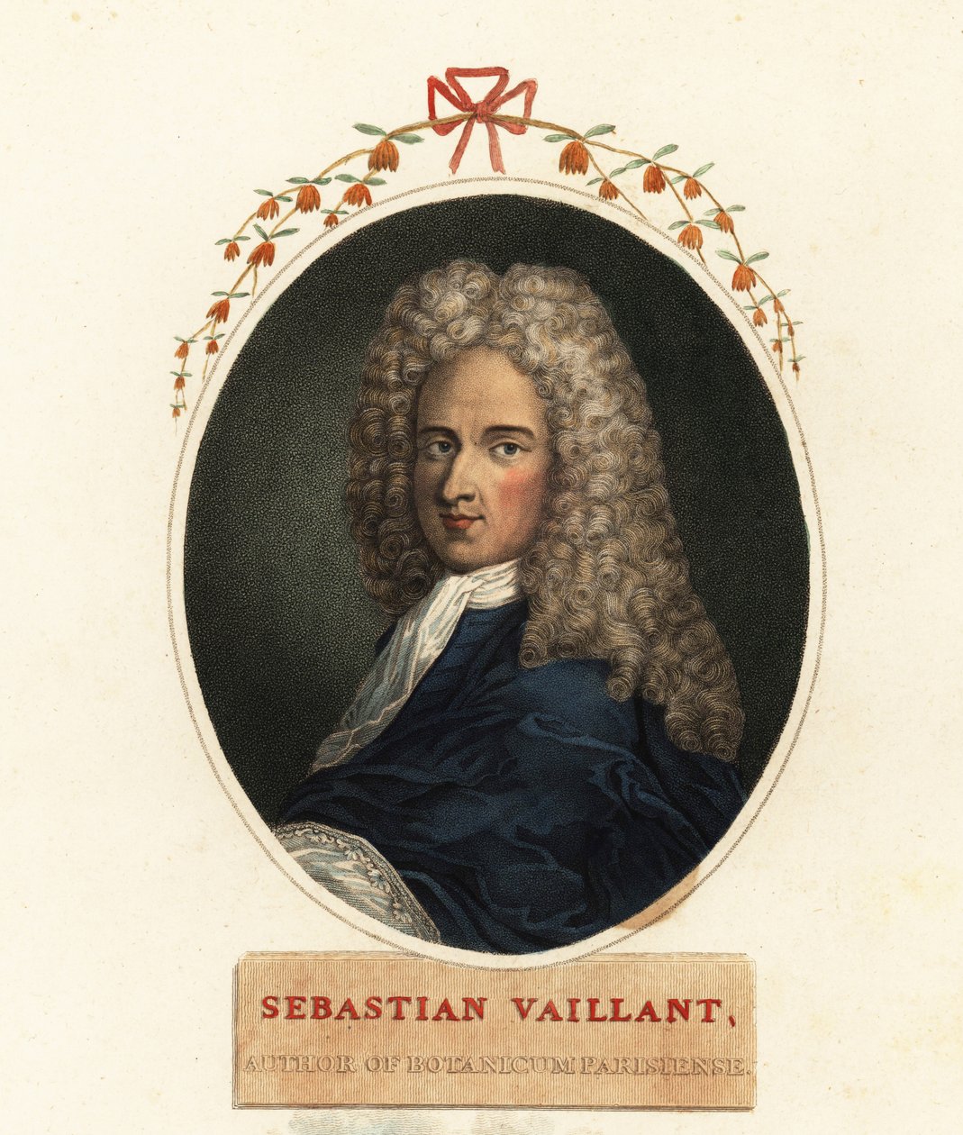 Portret Sebastiana Vaillanta, francuskiego botanika autorstwa Claude Aubriet