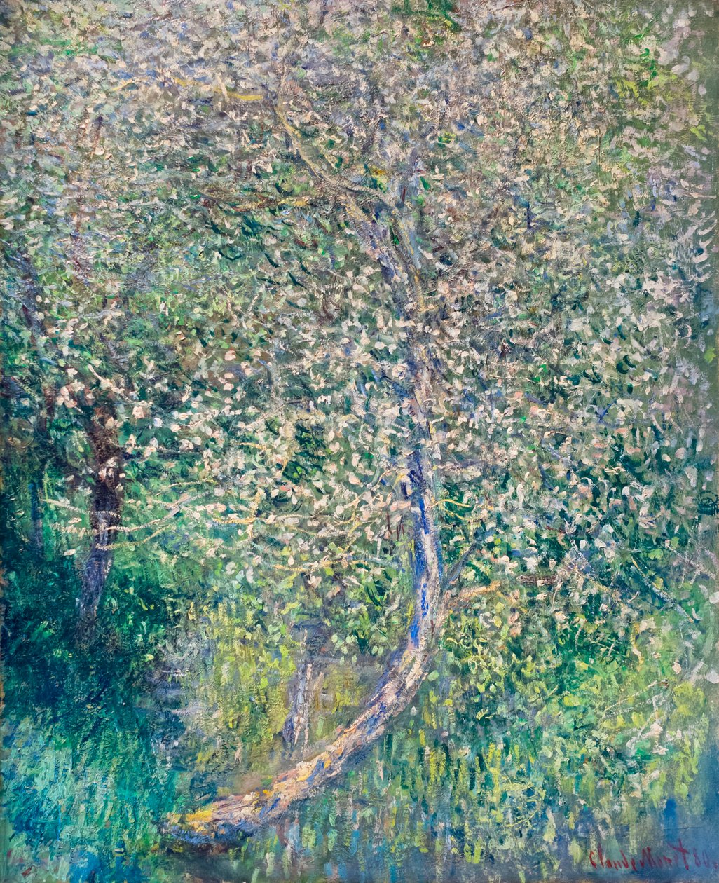 Kwitnące jabłonie nad wodą autorstwa Claude Monet