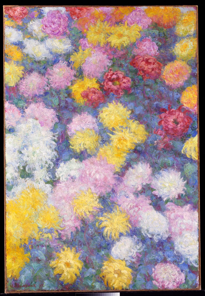 Chryzantemy, 1897 autorstwa Claude Monet