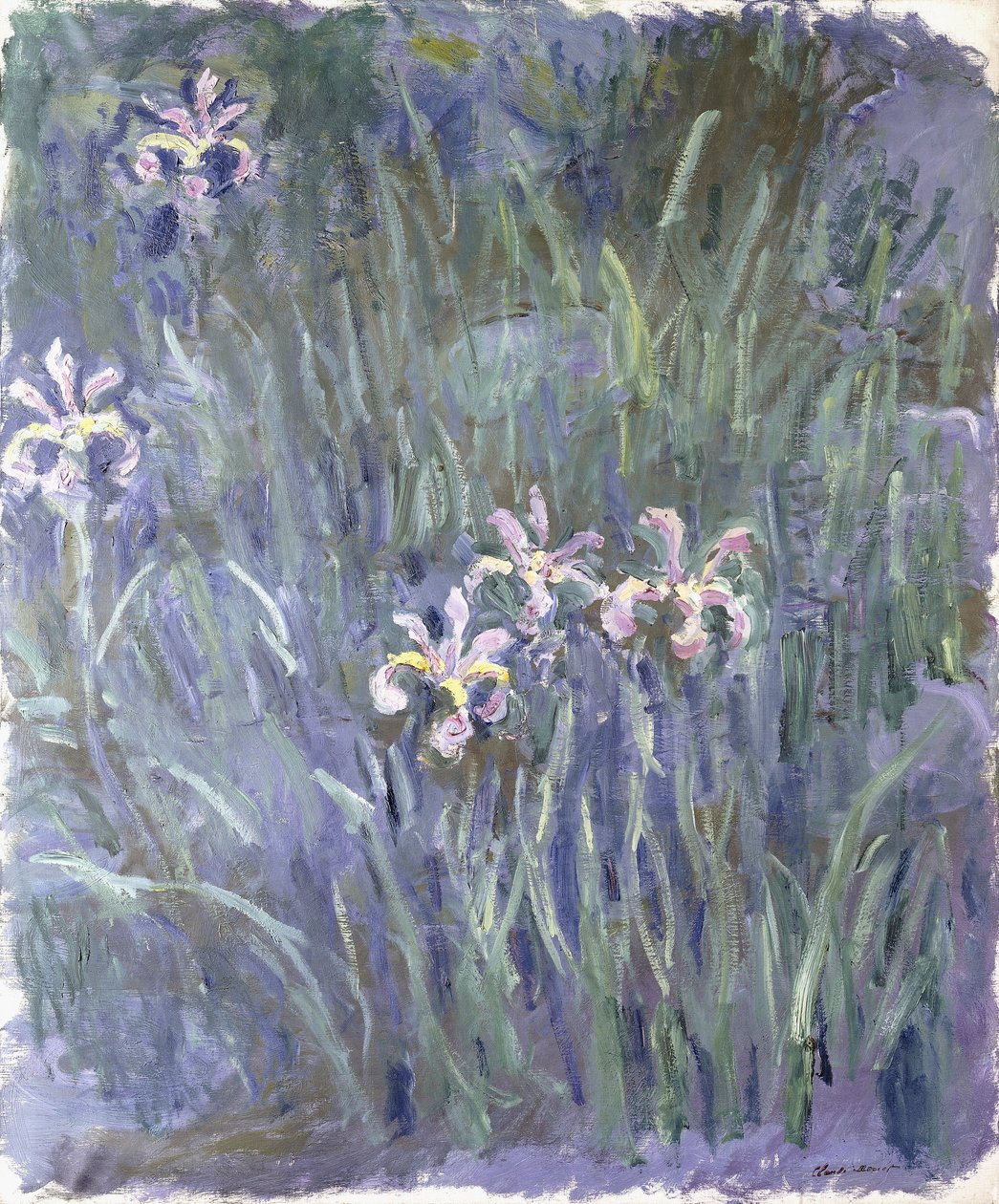 Irys, ok. 1914-1917 autorstwa Claude Monet