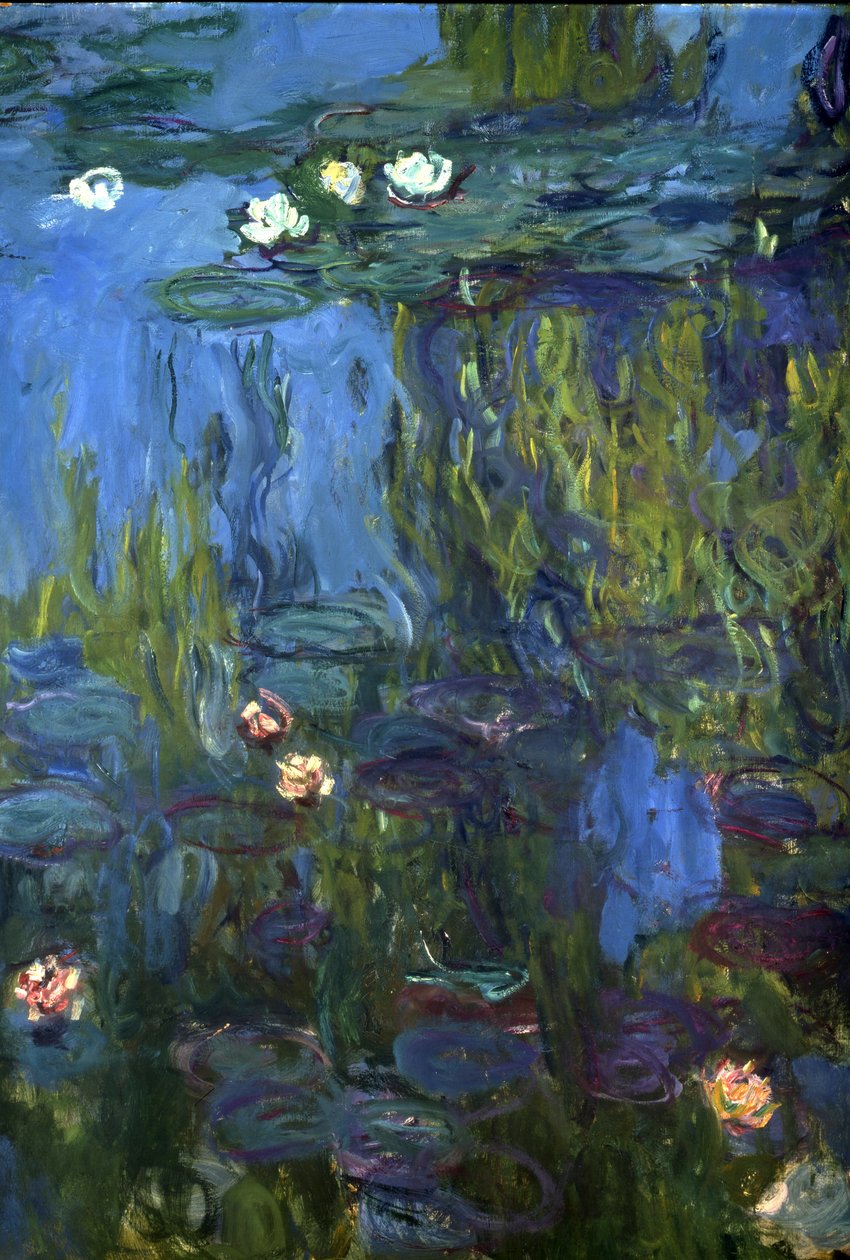 Nimfea, 1914-17 autorstwa Claude Monet