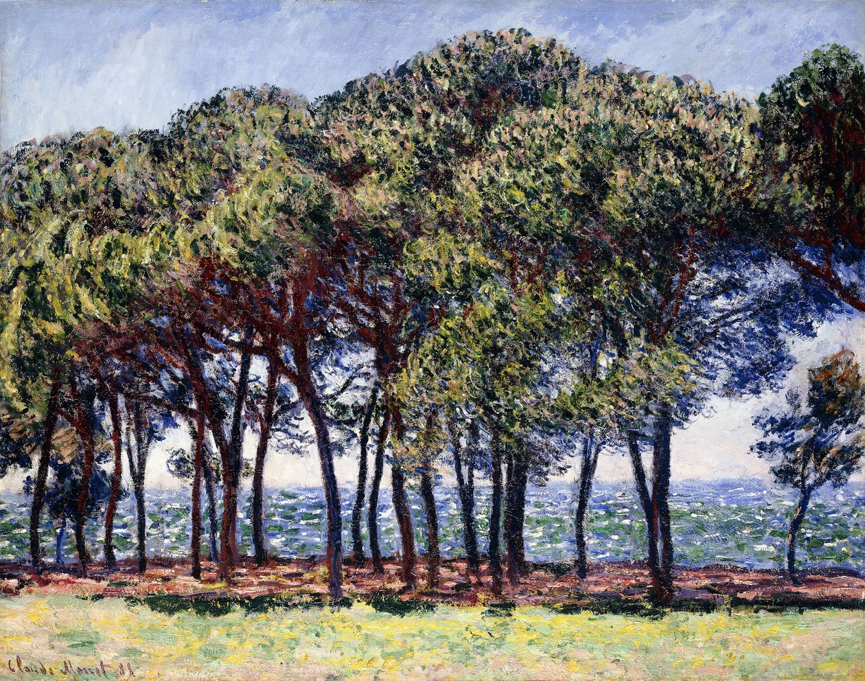 Sosny, Cap d"Antibes, 1888 r. autorstwa Claude Monet