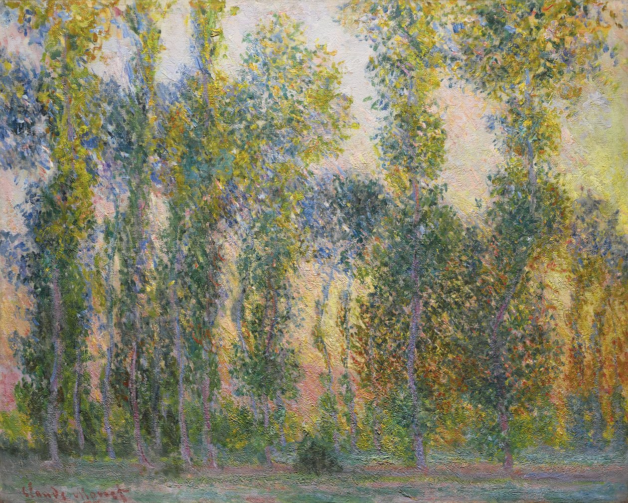 Topole w Giverny, 1887 autorstwa Claude Monet