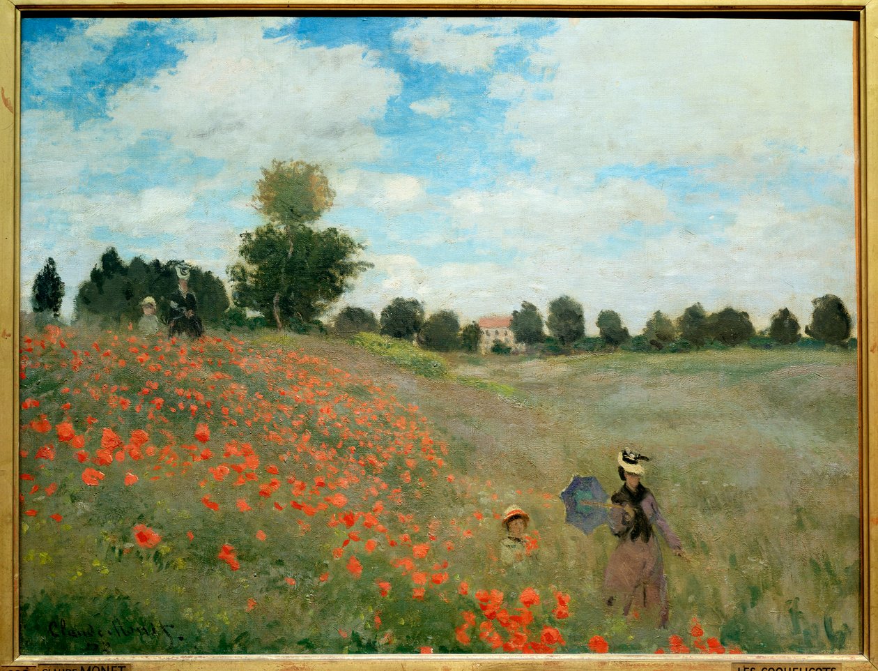 Maki, w pobliżu Argenteuil autorstwa Claude Monet