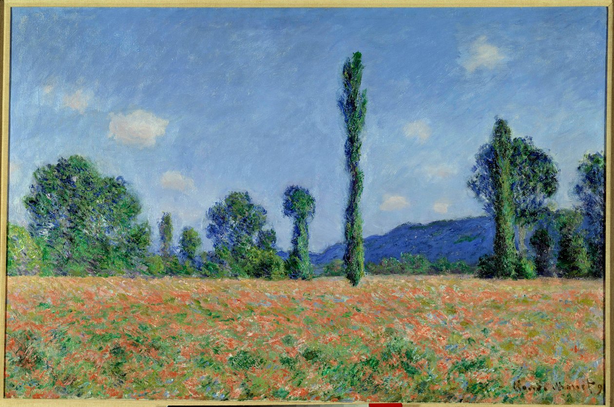 Pole maków, 1890 (olej na płótnie) autorstwa Claude Monet