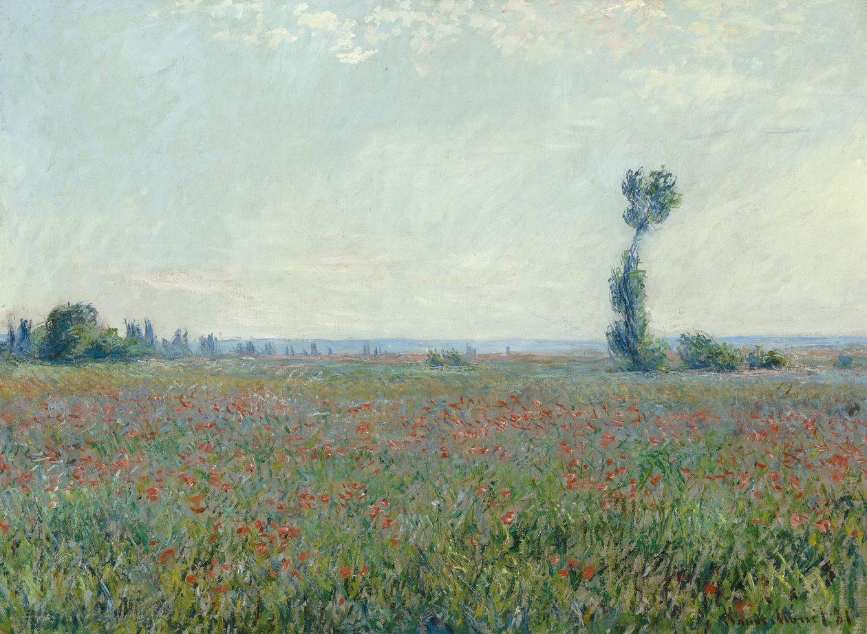 Poppy Field autorstwa Claude Monet