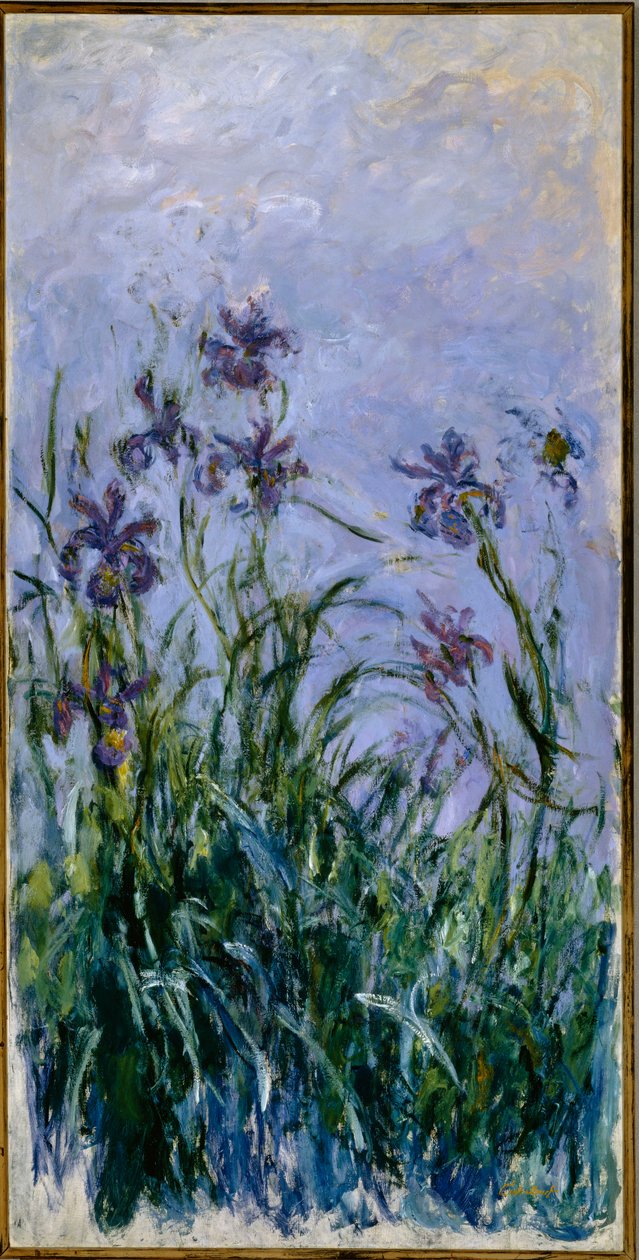 Fioletowe Irysy, 1914-17 autorstwa Claude Monet