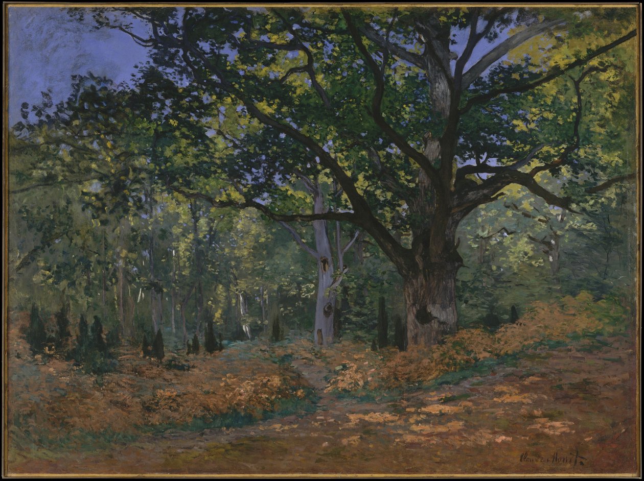 Dąb Bodmer, Las Fontainebleau, 1865 autorstwa Claude Monet