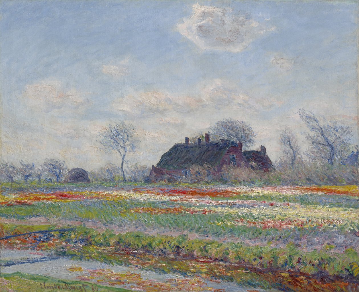 Pola tulipanów w Sassenheim, 1886 autorstwa Claude Monet