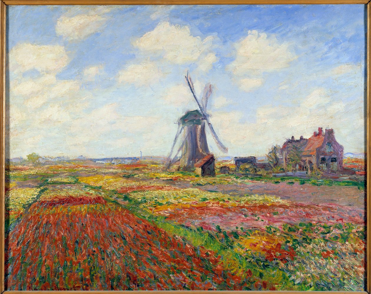 Pola Tulipanów w Holandii (z wiatrakiem) autorstwa Claude Monet