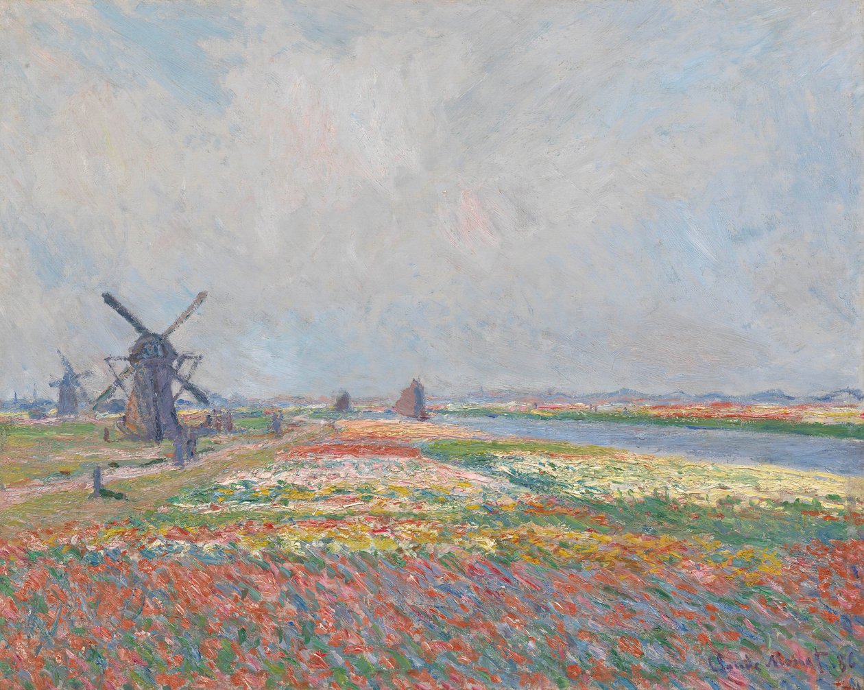 Pola tulipanów w pobliżu Hagi. autorstwa Claude Monet