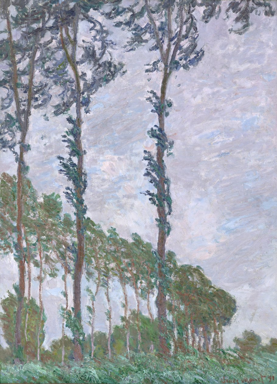Efekt wiatru, Seria topoli, 1891 autorstwa Claude Monet