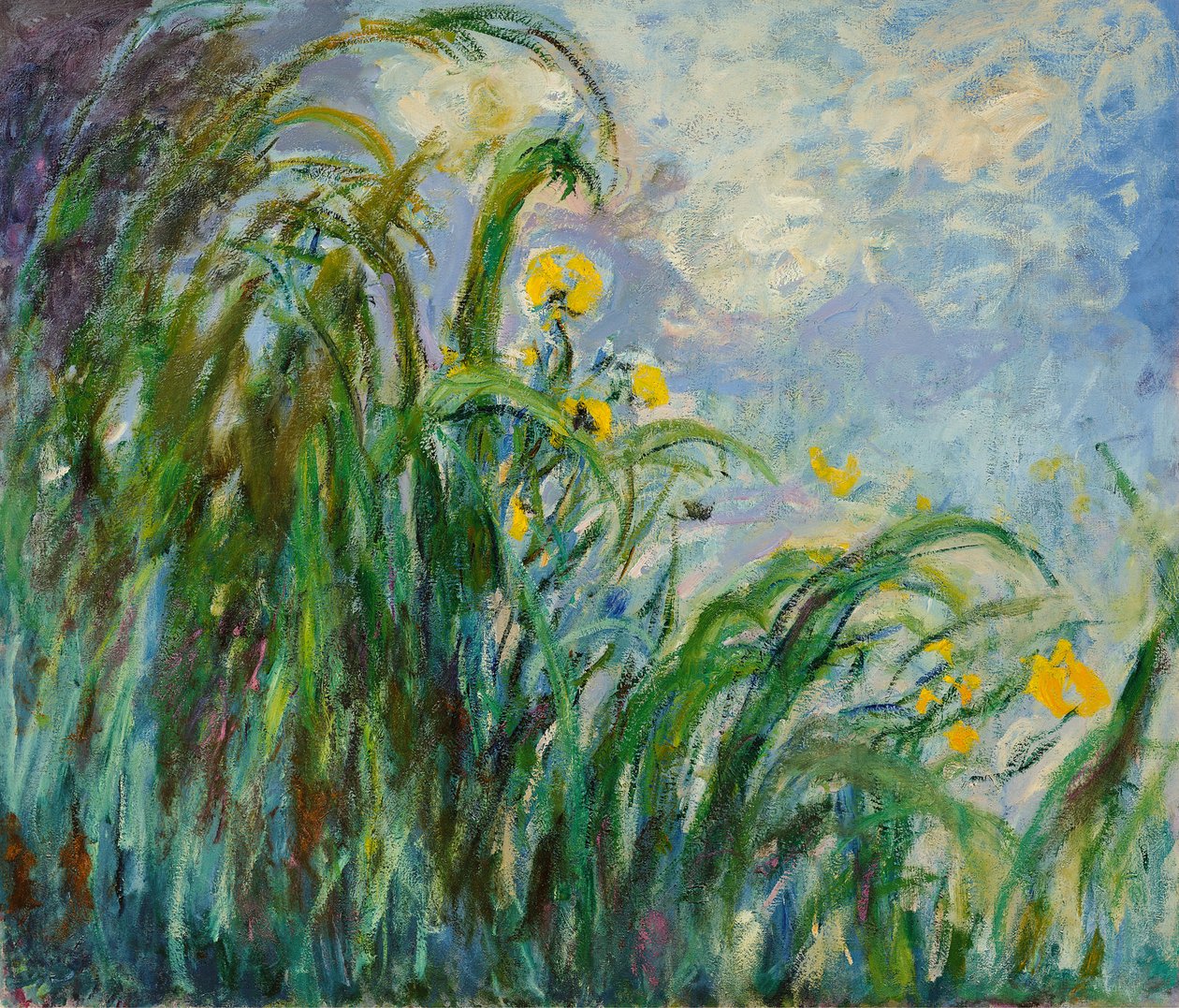 Irysy żółte, ok. 1925. autorstwa Claude Monet