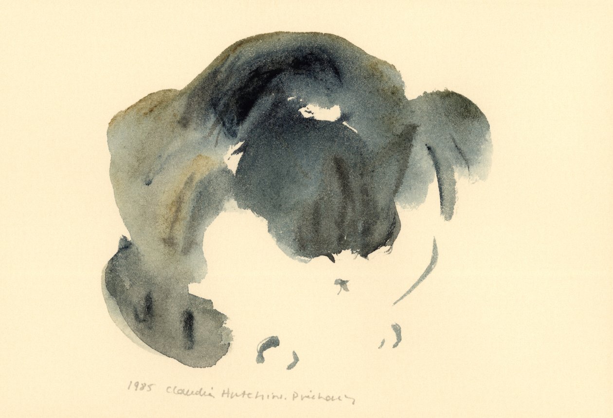 Kot, 1985 (akwarela) autorstwa Claudia Hutchins Puechavy