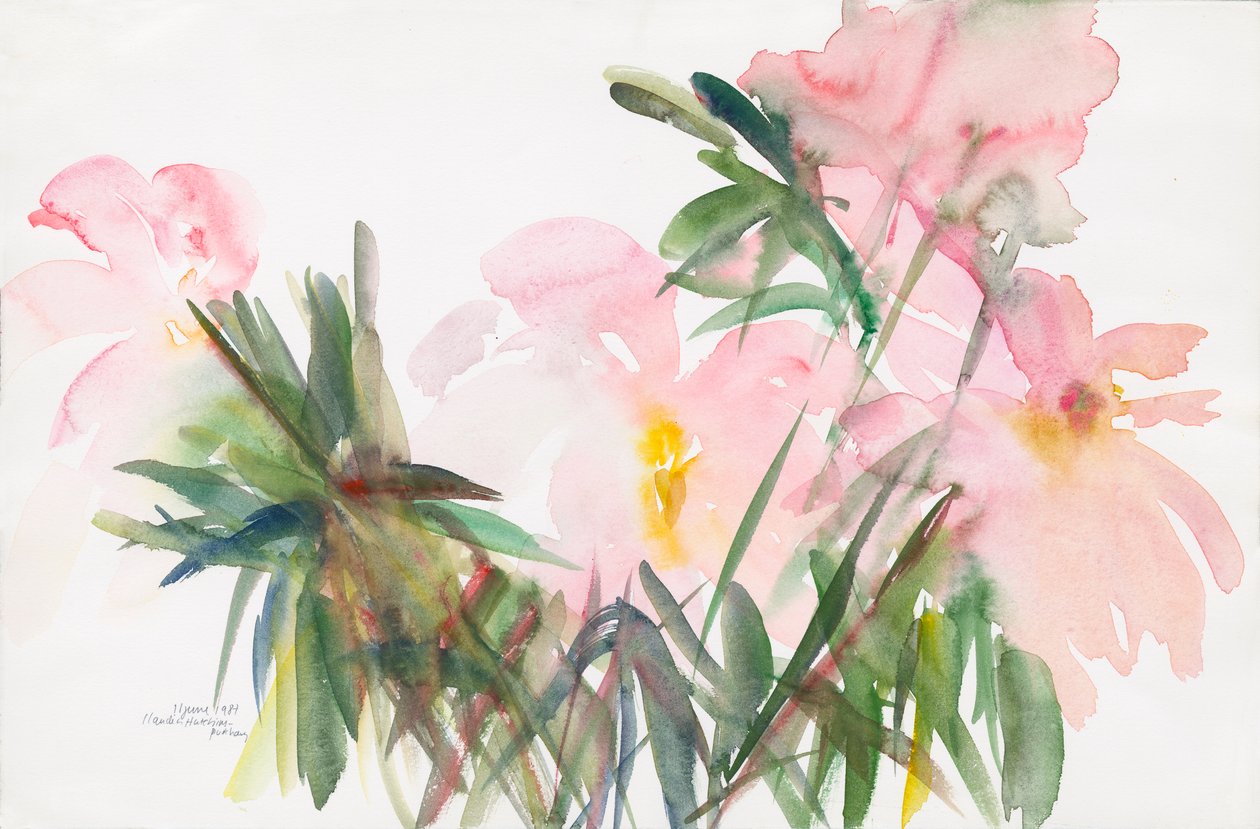Piwonie, 1987, (akwarela na papierze) autorstwa Claudia Hutchins Puechavy