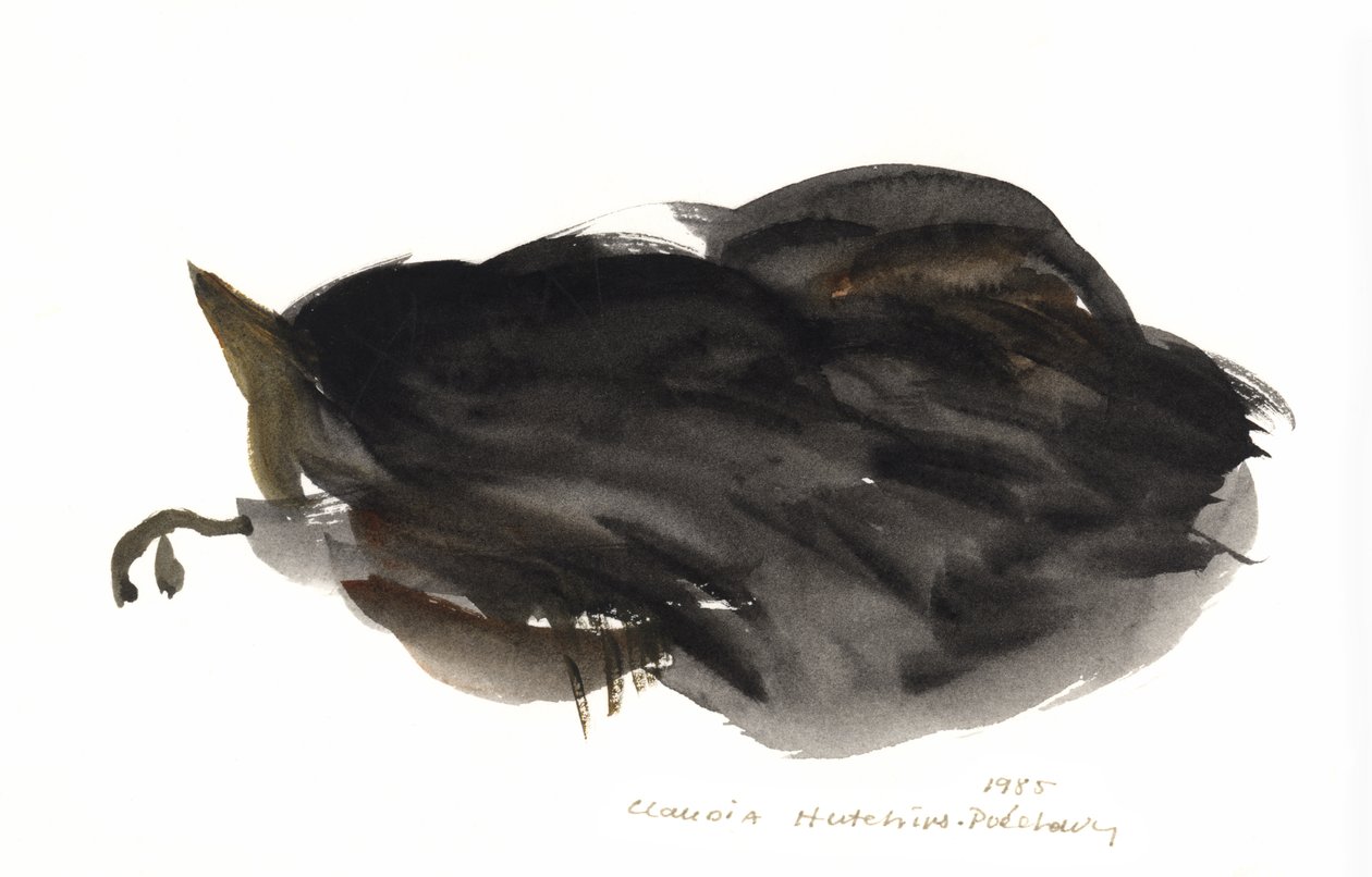 Śpiący kot, 1985 (akwarela) autorstwa Claudia Hutchins Puechavy