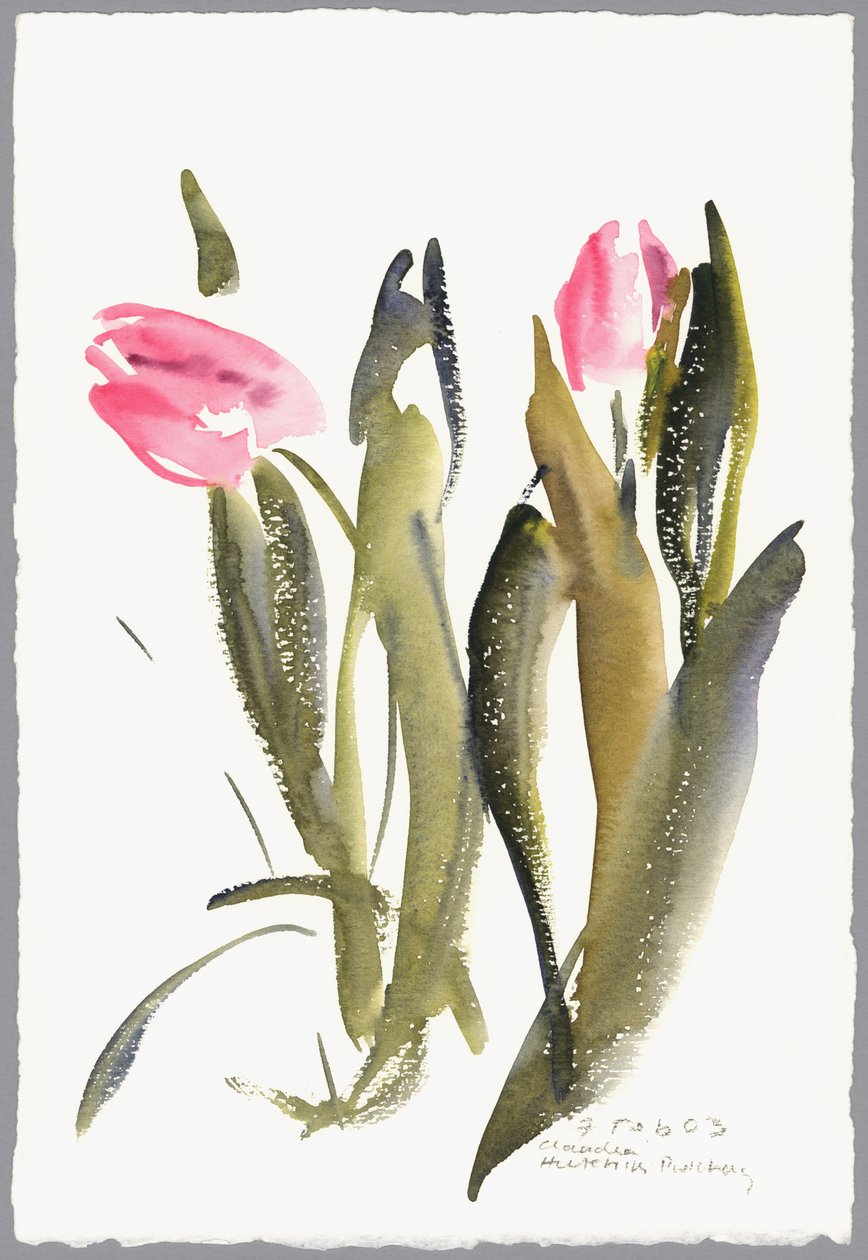 Tulipany, 2003 (akwarela) autorstwa Claudia Hutchins Puechavy