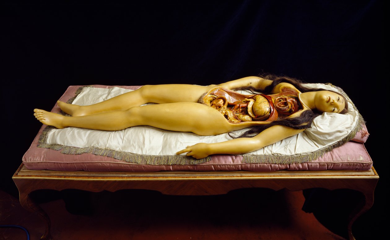 „Rozbieralna Wenus”, model anatomiczny (wosk) autorstwa Clemente Susini