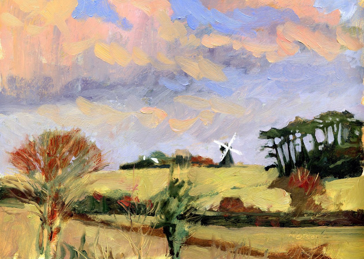 Wiatrak wieczorny, 2007 (akryl na pokładzie) autorstwa Clive Metcalfe
