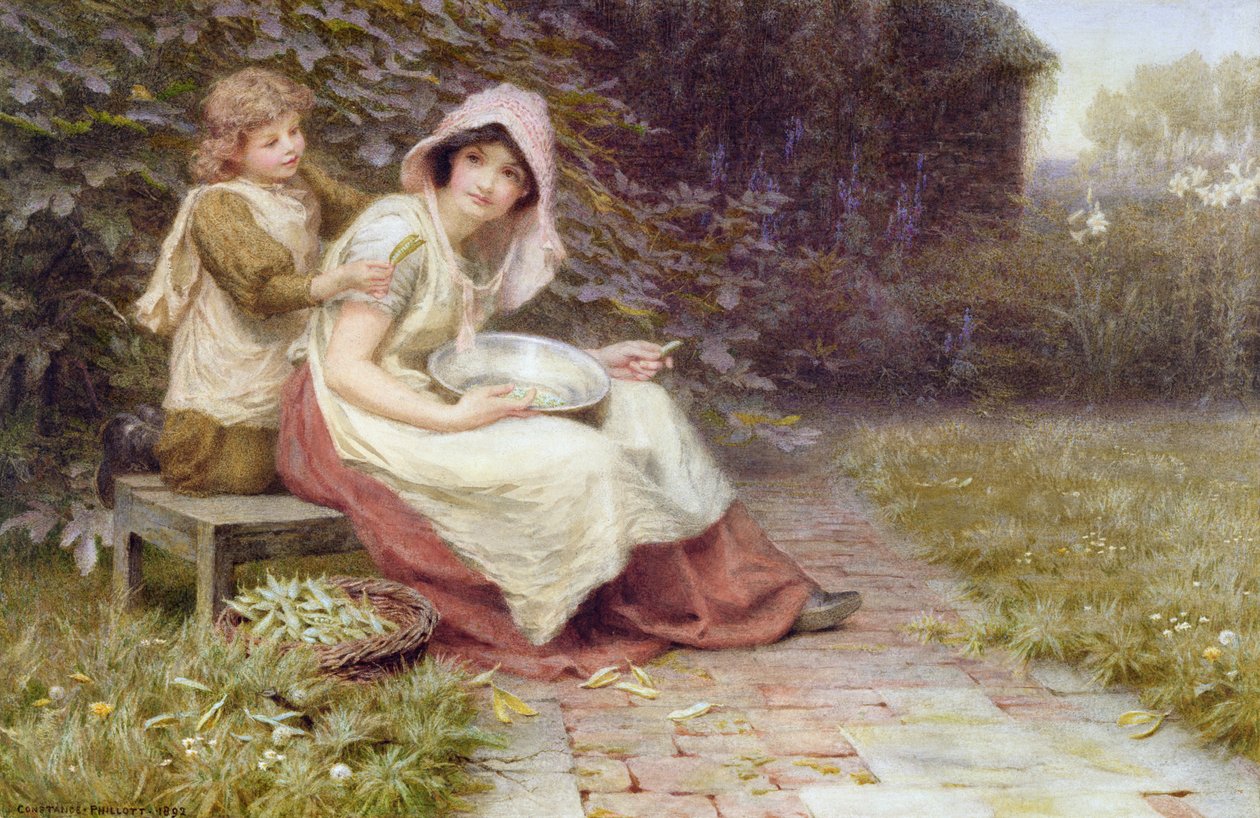 łuskanie grochu autorstwa Constance Phillott
