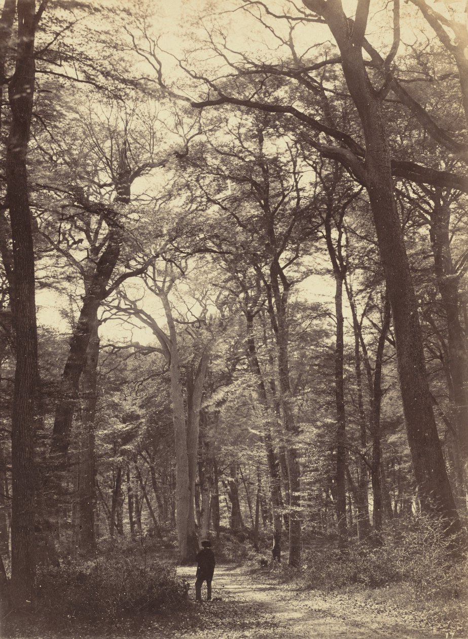 Scena leśna, ok. 1865. autorstwa Constant Alexandre Famin
