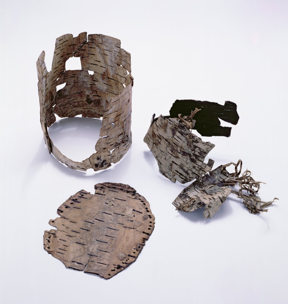 Pojemnik z kory brzozowej znaleziony z Oetzi Iceman (brzoza) autorstwa Copper Age