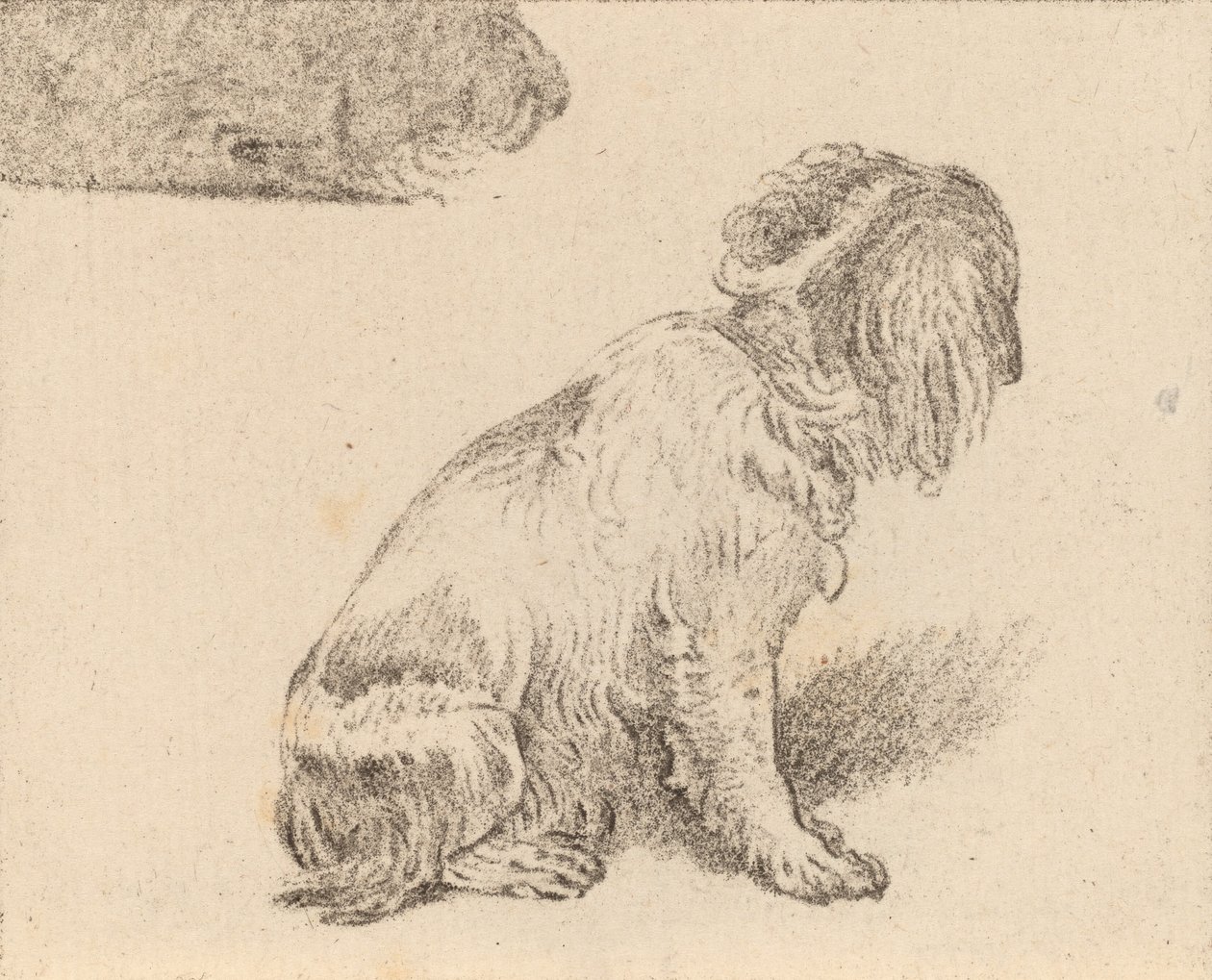 Siedzący pies, 1777. autorstwa Cornelis Brouwer