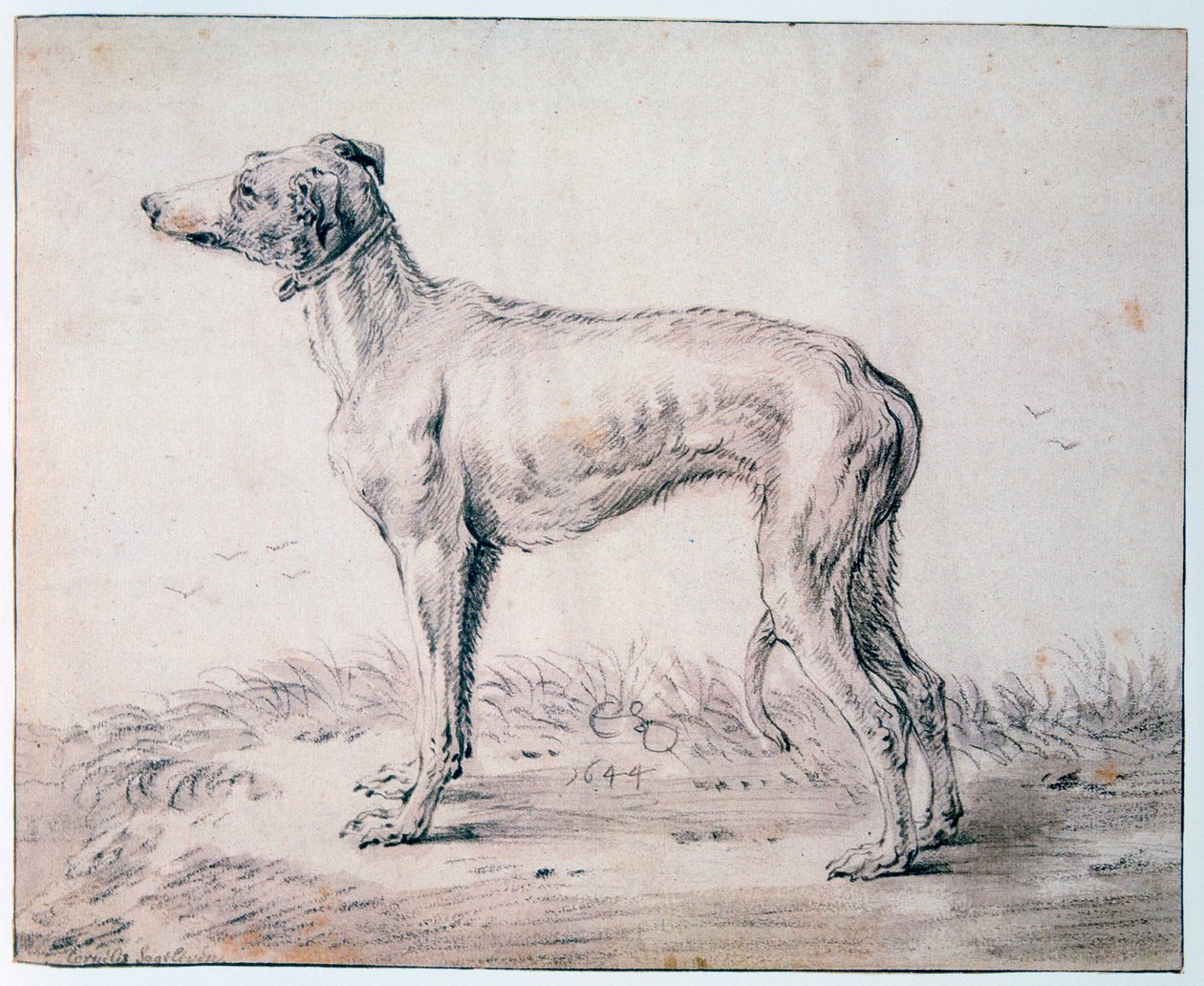 Chart, 1644 autorstwa Cornelis Saftleven