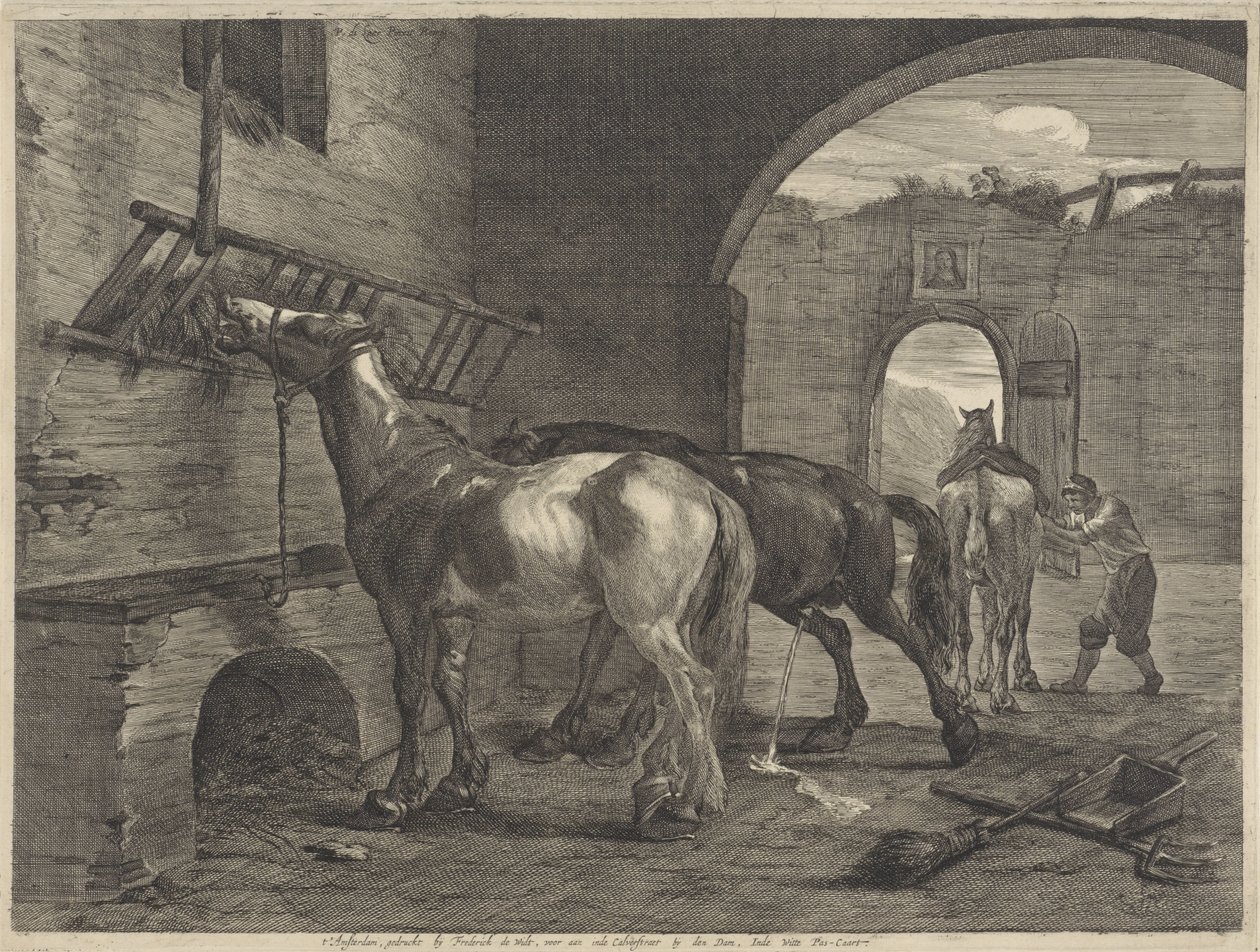 Stabilny autorstwa Cornelis Visscher (II)
