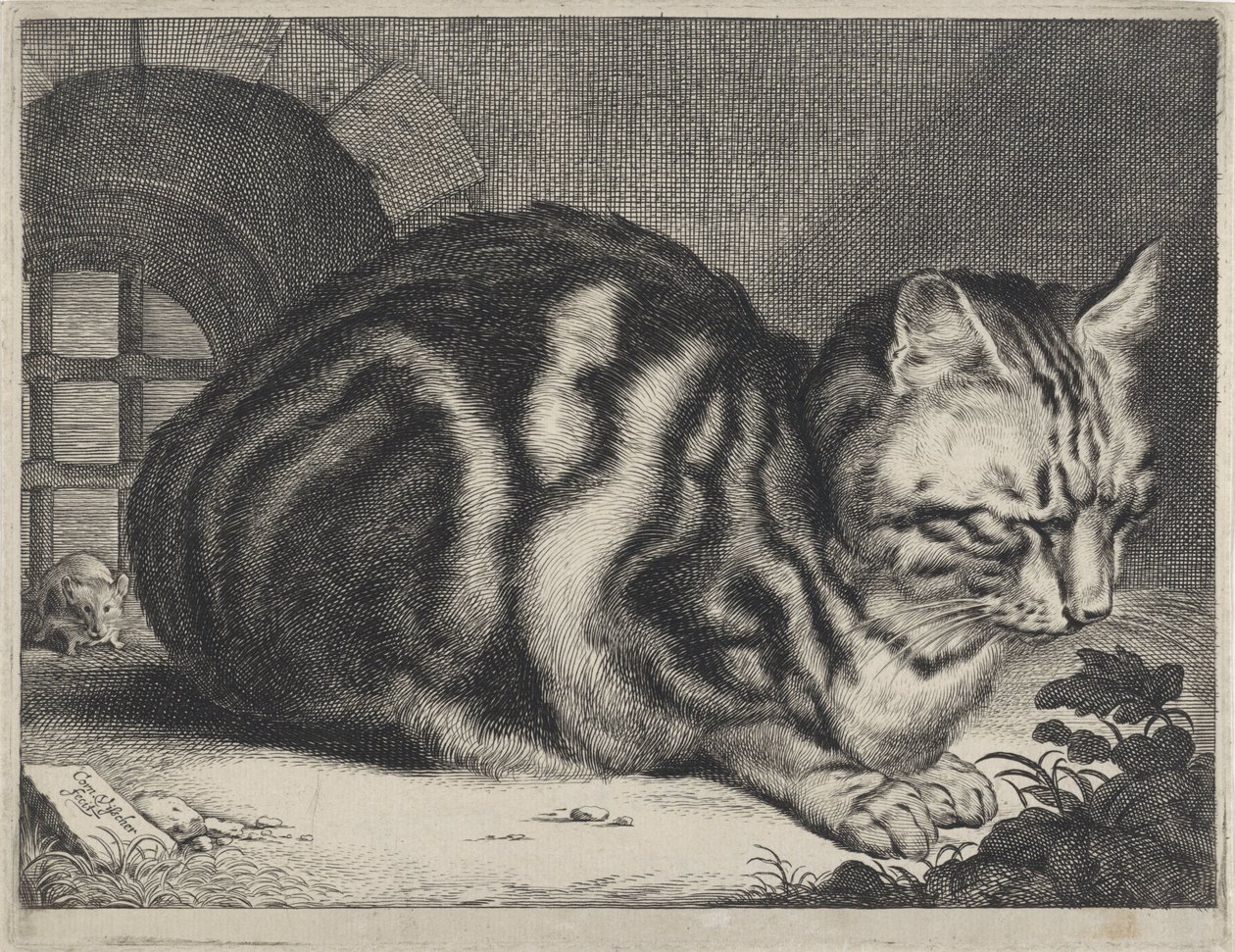 Duży kot autorstwa Cornelis Visscher (II)