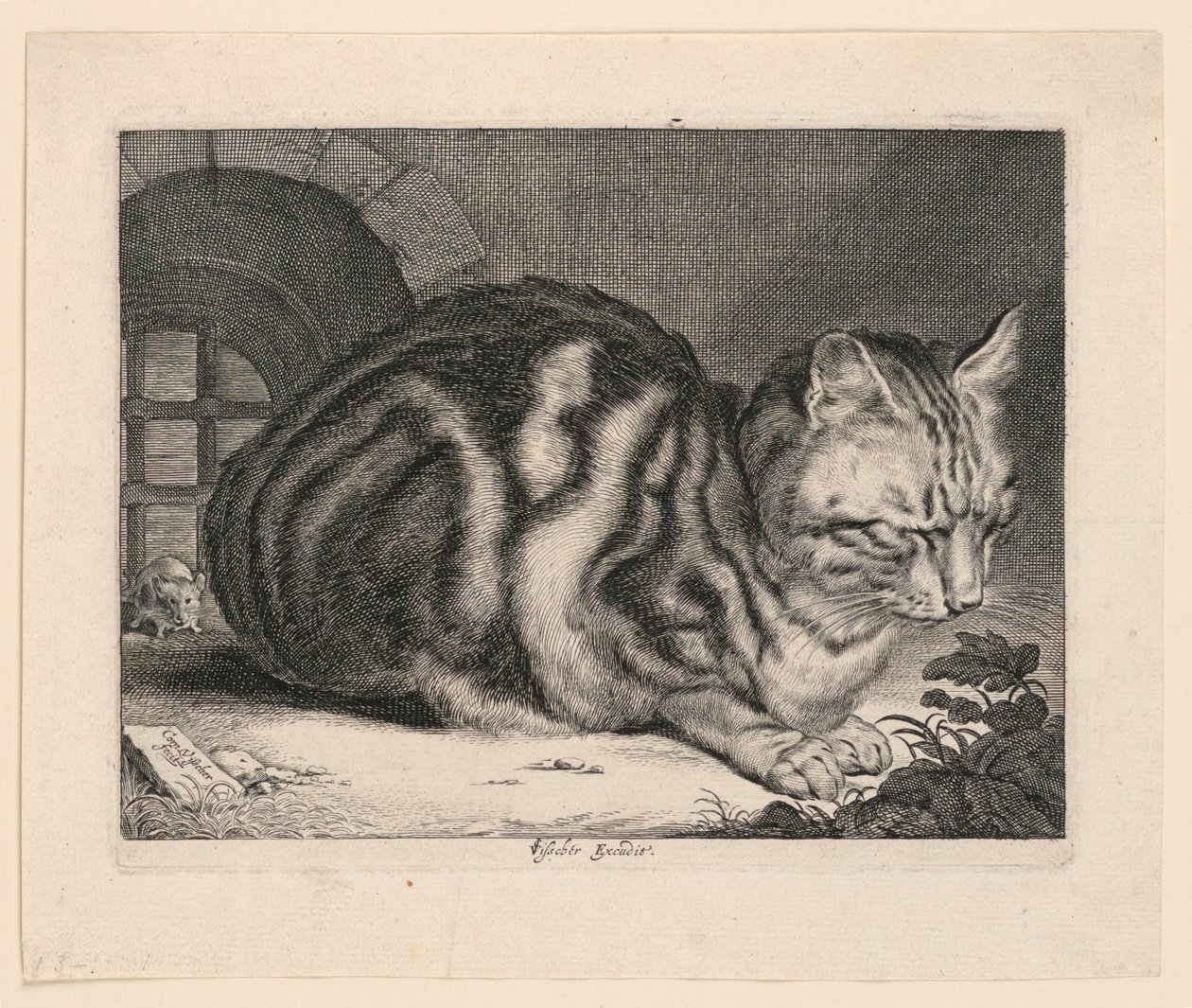 Duży kot autorstwa Cornelis Visscher
