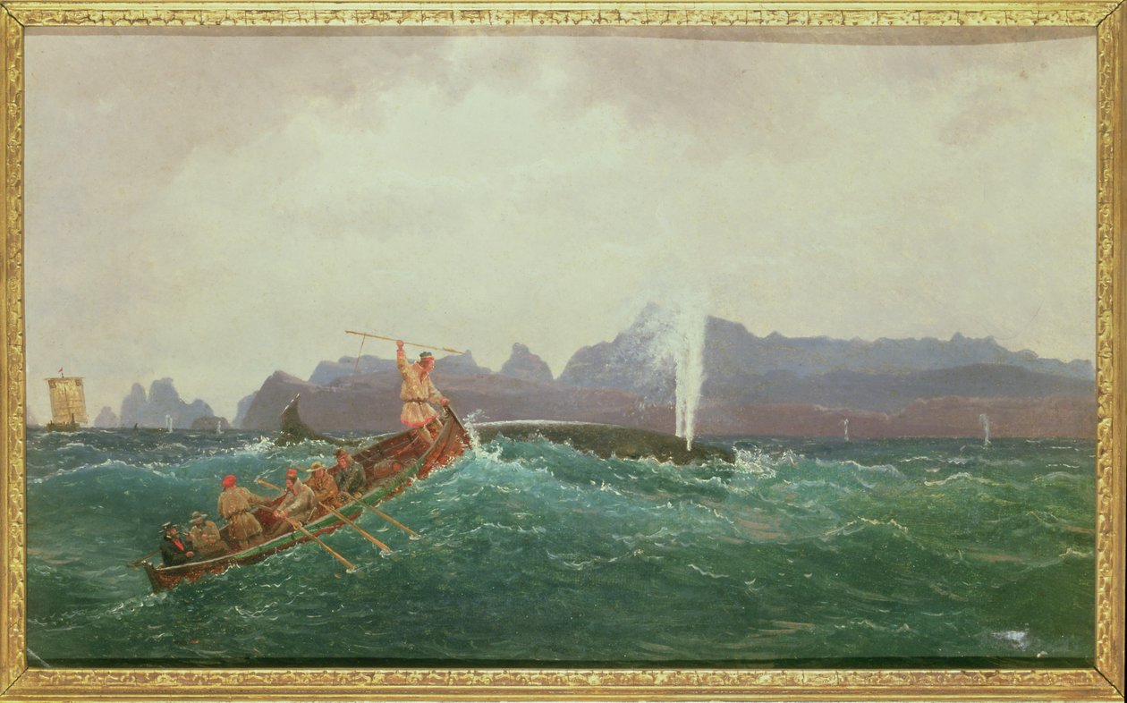 Scena wielorybnicza autorstwa Cornelius Krieghoff