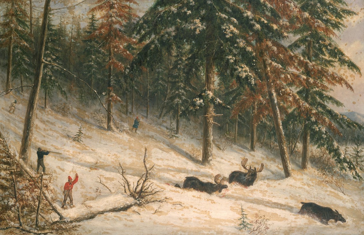 Łoś myśliwski (olej) autorstwa Cornelius Krieghoff