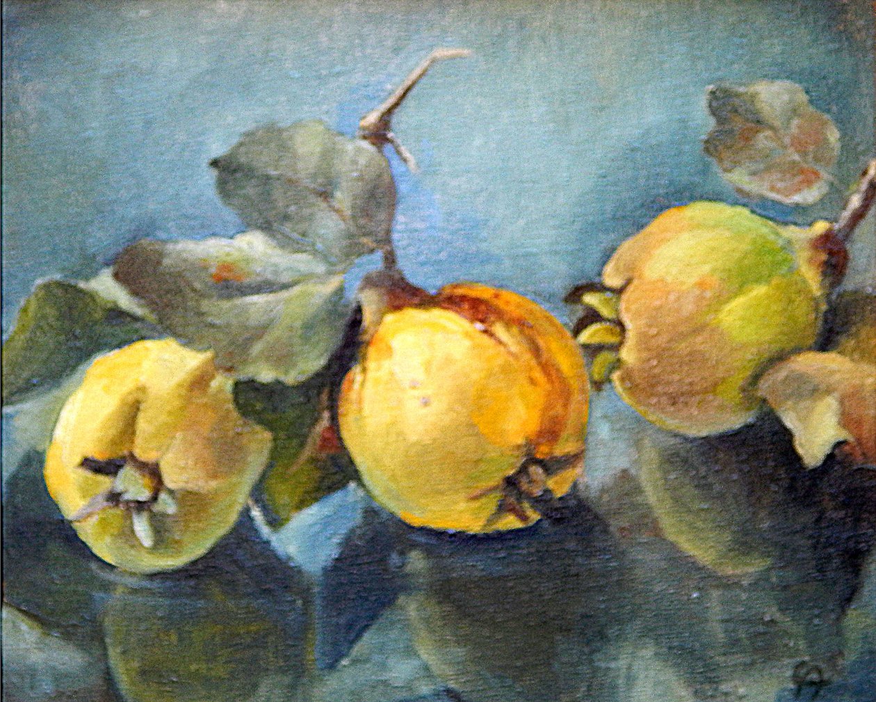 Pigwy, 2011, autorstwa Cristiana Angelini