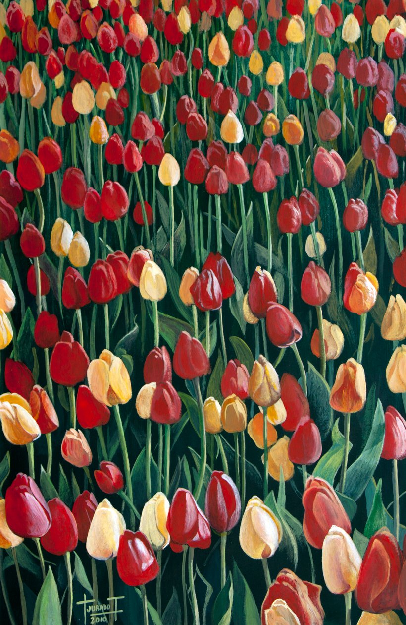 Tulipany, 2010 (akryl na papierze) autorstwa Cruz Jurado Traverso