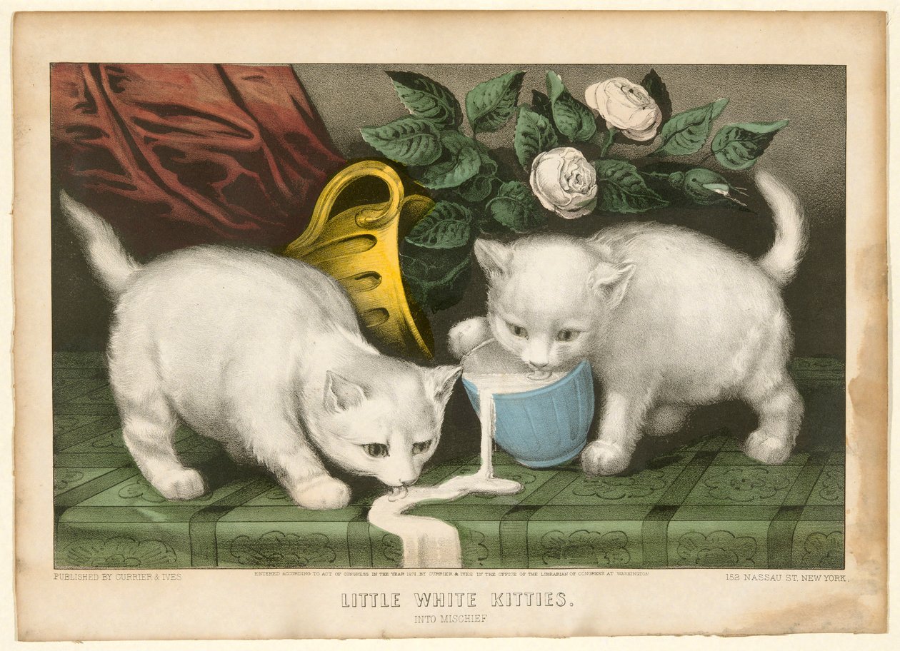 Małe białe kotki w psot autorstwa Currier and Ives