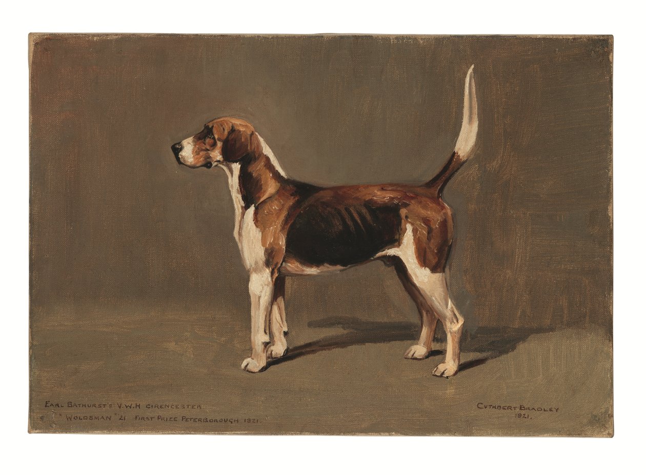 "Woldsman" autorstwa Cuthbert Bradley