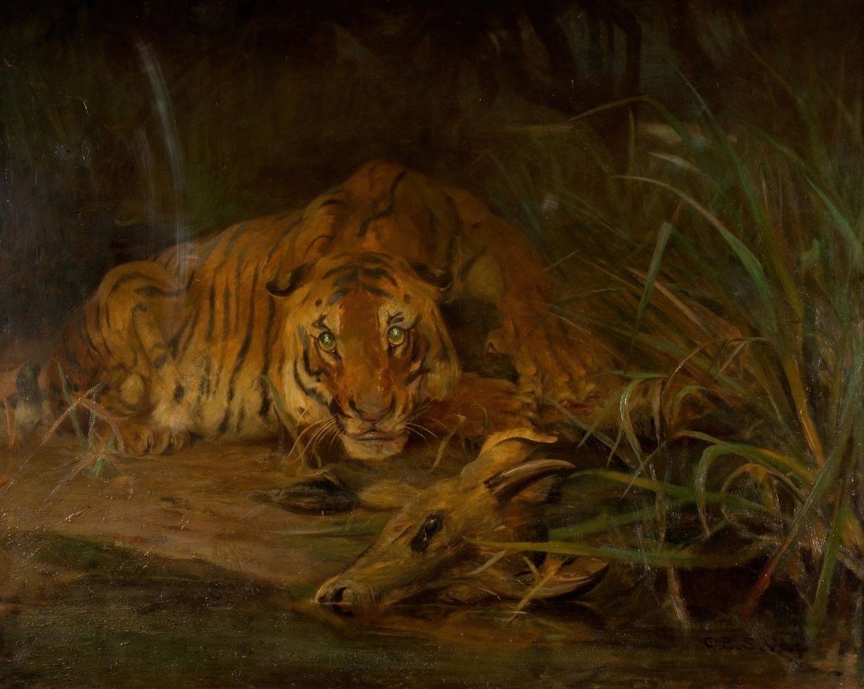 Tygrys i zdobycz, 1931. autorstwa Cuthbert Edmund Swan