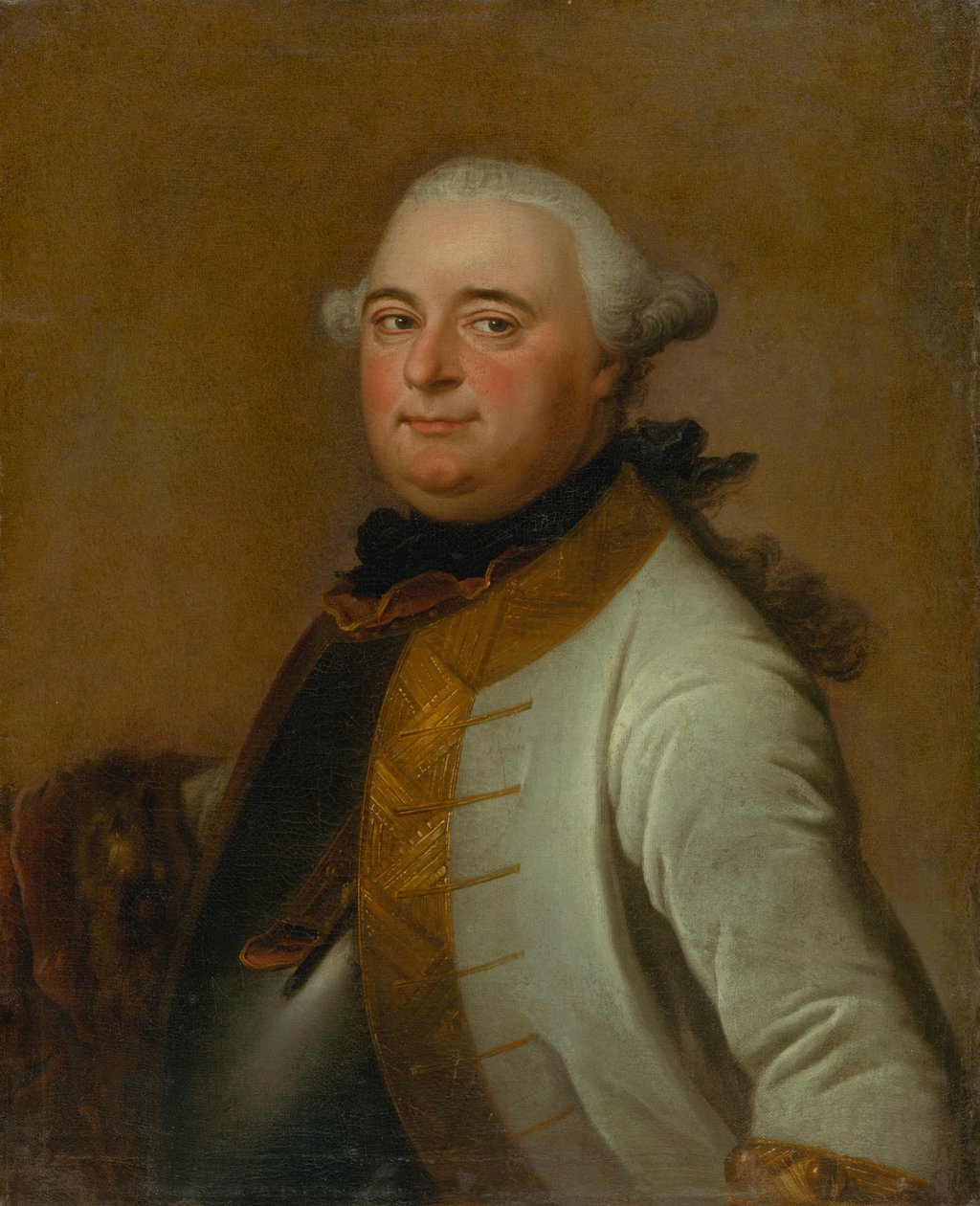 Portret feldmarszałka Mikuláša Mednyánszky .a autorstwa Daniel Woge