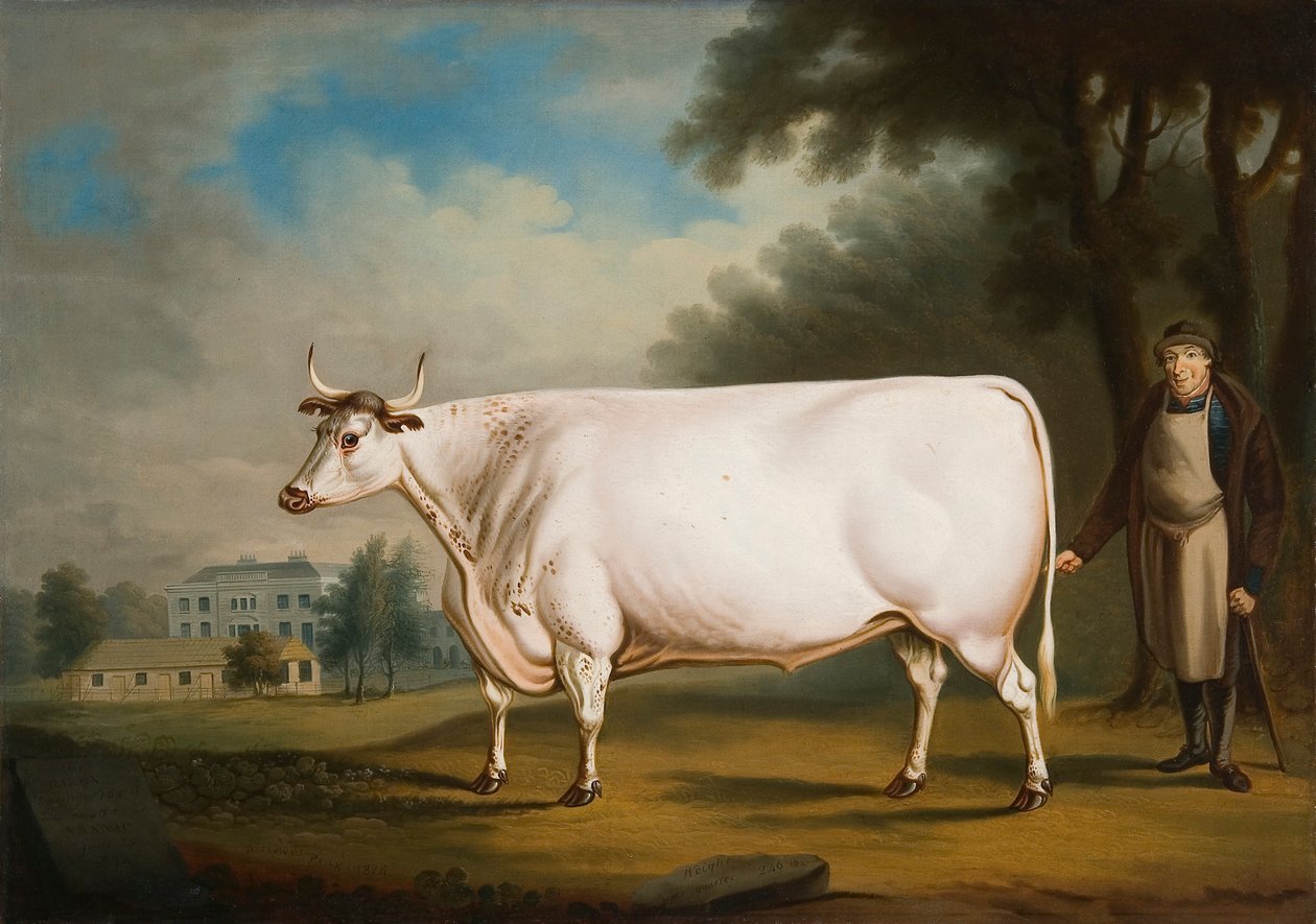 „Wół Nannau”, 1824 r. autorstwa Daniel Clowes