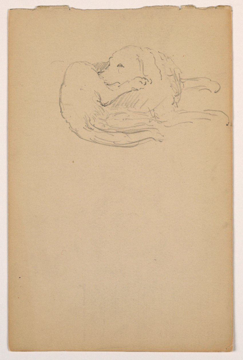 Rysunek, Dash (seter), ok. 1862 r. autorstwa Daniel Huntington
