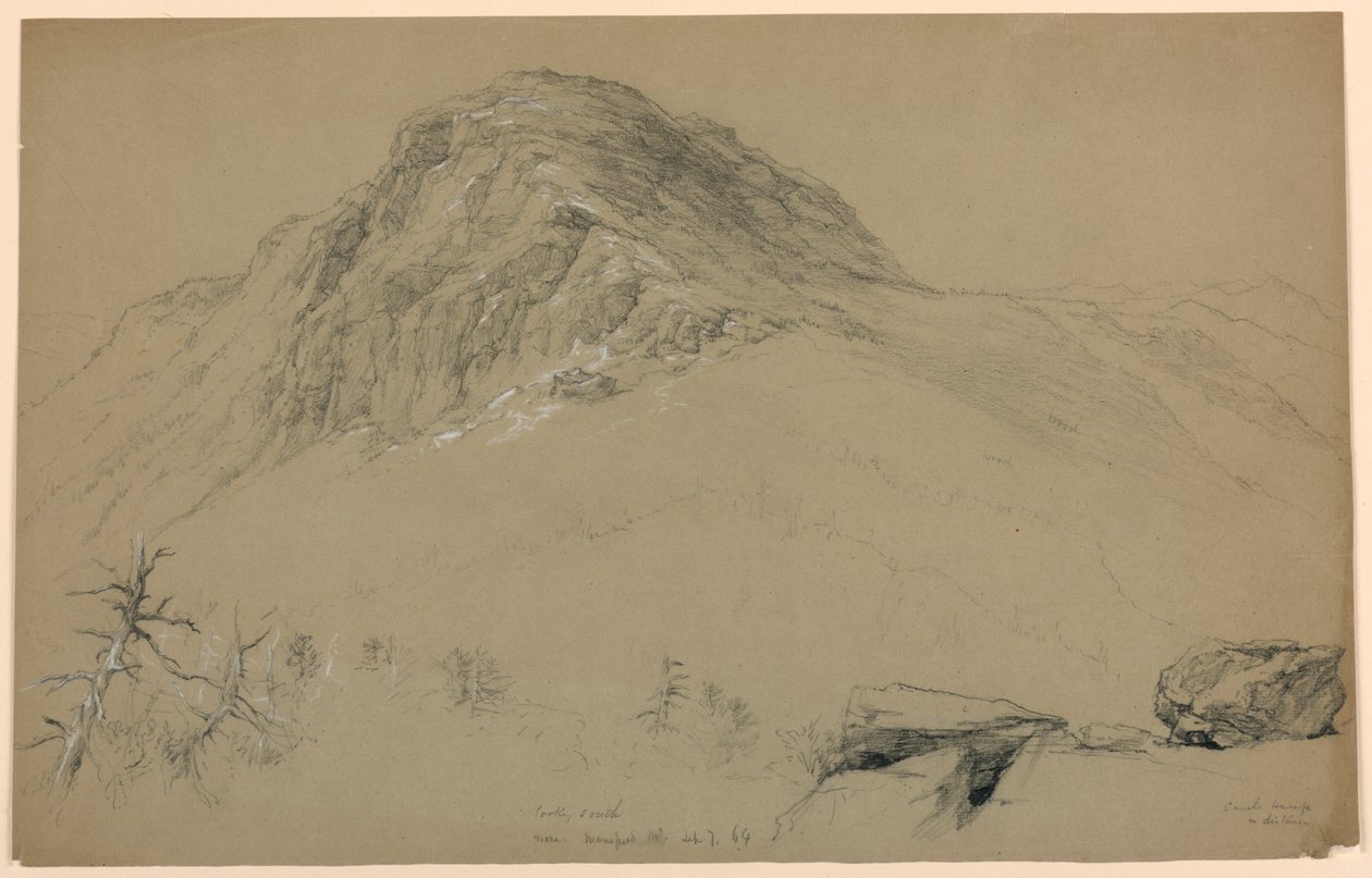 Patrząc na południe, Mount Mansfield, Vermont autorstwa Daniel Huntington