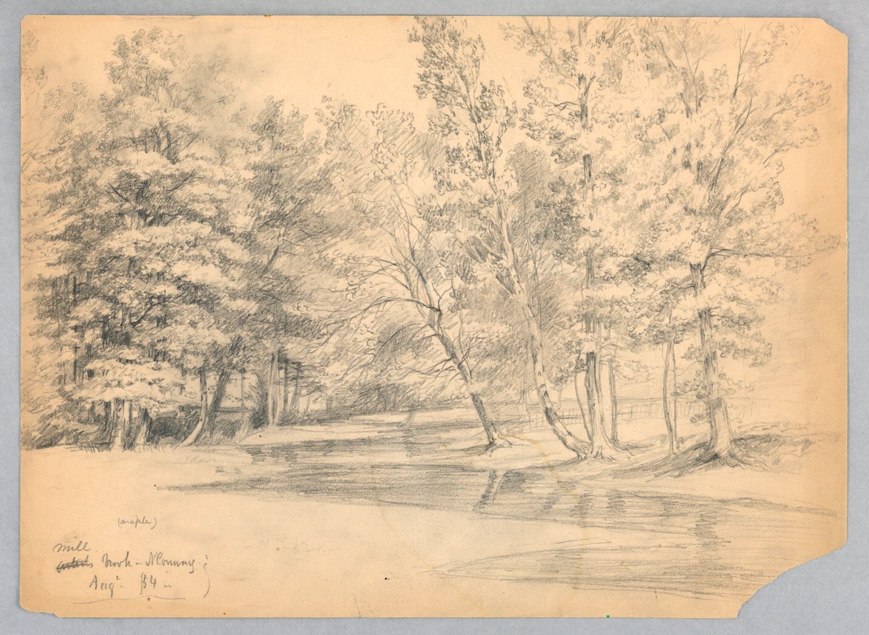Mill Brook, North Conway, New Hampshire autorstwa Daniel Huntington